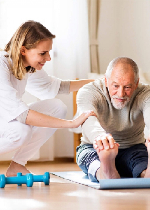Fisioterapia para <br>Idosos